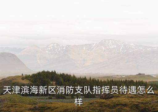 天津市政府消防招聘工資待遇，天津?yàn)I海新區(qū)消防支隊(duì)指揮員待遇怎么樣