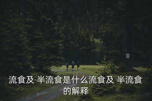 流食及 半流食是什么流食及 半流食的解釋