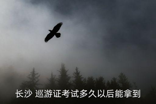 長沙 巡游證考試多久以后能拿到