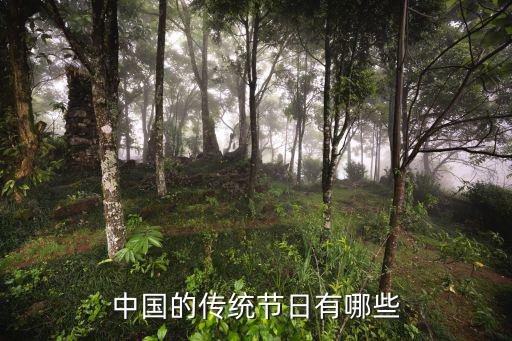 傳統(tǒng)節(jié)日有哪些，中國有哪些傳統(tǒng)節(jié)日