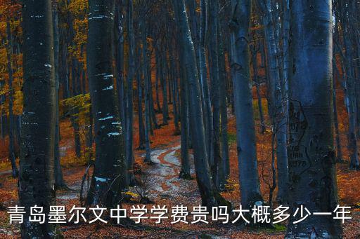 青島墨爾文中學學費貴嗎大概多少一年