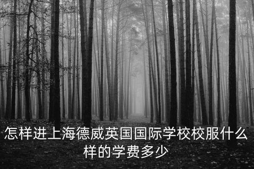上海德威國際學(xué)校一年多少錢，送孩子讀珠海市徳威國際高中每年要預(yù)算多少錢
