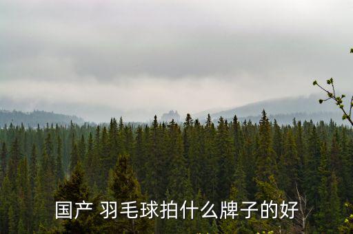 國(guó)產(chǎn) 羽毛球拍什么牌子的好