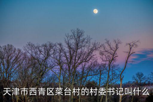 天津市西青區孫占全，天津市西青區菜臺村的村委書記叫什么