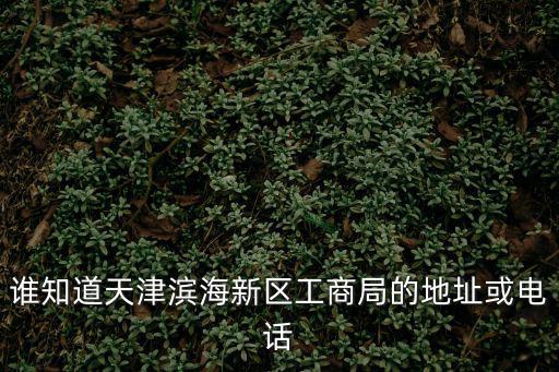 誰知道天津濱海新區(qū)工商局的地址或電話