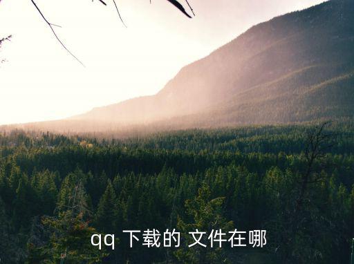  qq 下載的 文件在哪