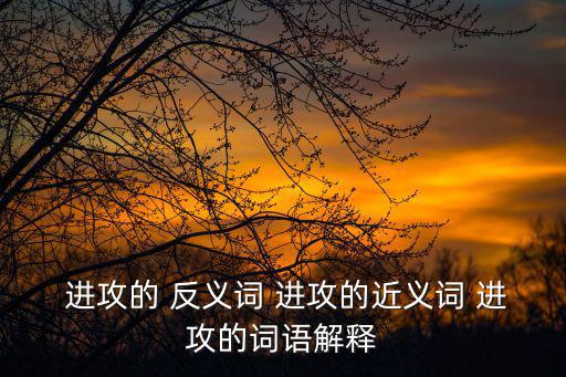  進(jìn)攻的 反義詞 進(jìn)攻的近義詞 進(jìn)攻的詞語解釋