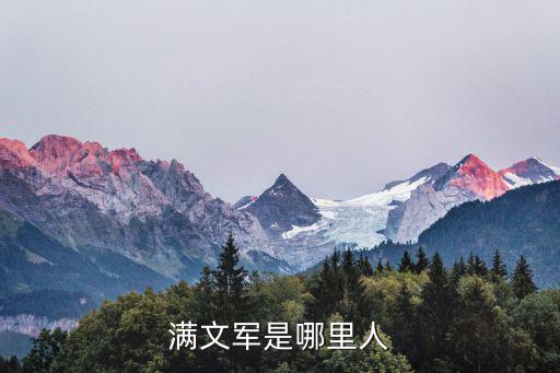 滿文軍是哪里人