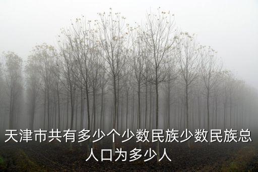 天津市共有多少個少數(shù)民族少數(shù)民族總?cè)丝跒槎嗌偃? class=