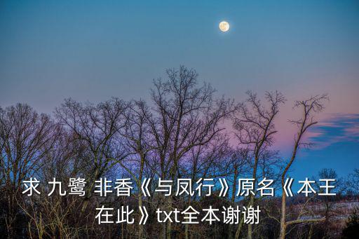 九鷺非香,《臧藍戰術》《護心》《七點好運氣》等影視劇