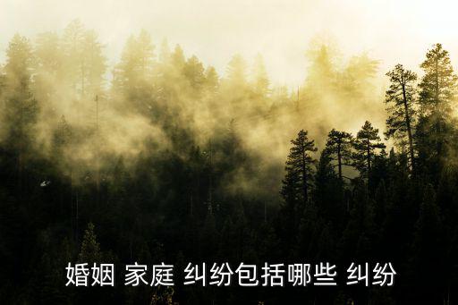  婚姻 家庭 糾紛包括哪些 糾紛