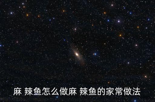 麻 辣魚怎么做麻 辣魚的家常做法