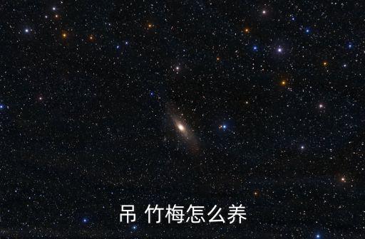 吊 竹梅怎么養