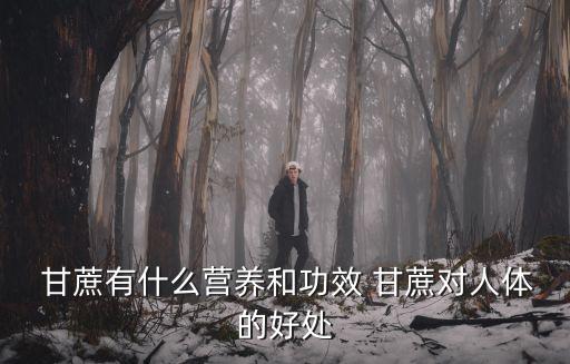  甘蔗有什么營養和功效 甘蔗對人體的好處