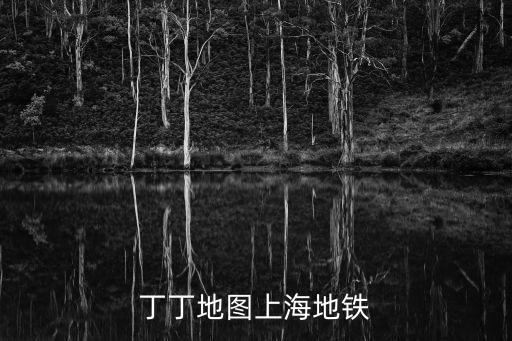 丁丁地圖上海地鐵