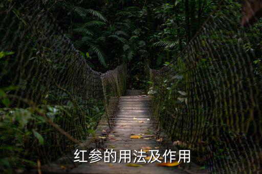  紅參的用法及作用