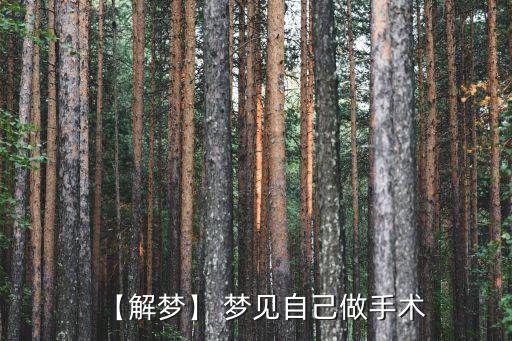 【解夢】 夢見自己做手術