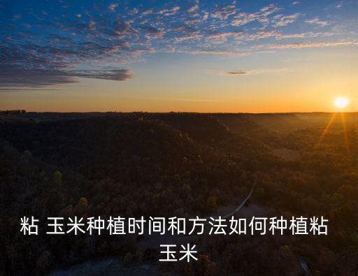 粘 玉米種植時(shí)間和方法如何種植粘 玉米