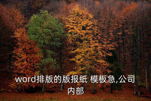word排版的版報紙 模板急,公司內部