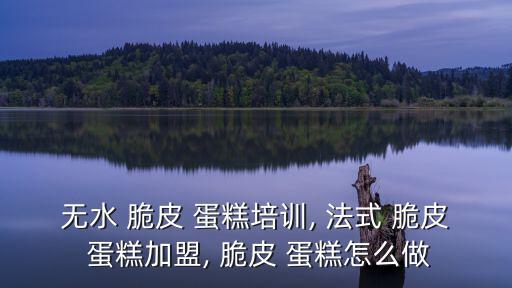 無水 脆皮 蛋糕培訓, 法式 脆皮 蛋糕加盟, 脆皮 蛋糕怎么做