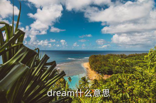 dream的意思,游覽吳哥實現童年夢想