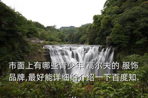 市面上有哪些青少年 高爾夫的 服飾品牌,最好能詳細(xì)給介紹一下百度知...