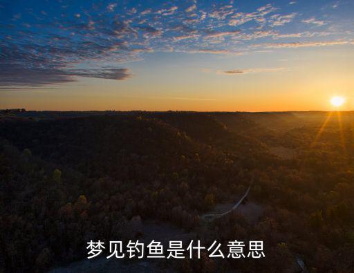 夢見釣魚是什么意思