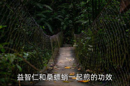 益智仁和桑螵蛸一起煎的功效
