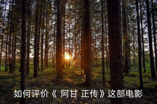 如何評價《 阿甘 正傳》這部電影