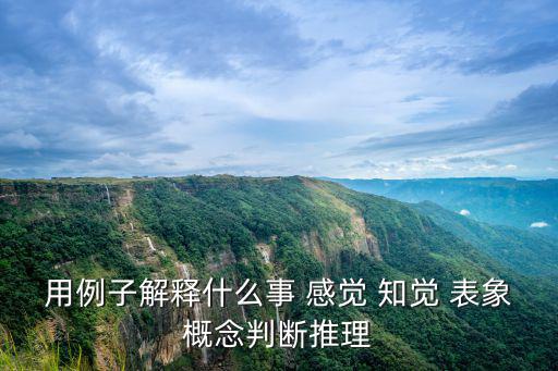用例子解釋什么事 感覺 知覺 表象概念判斷推理