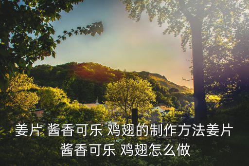 醬香雞翅,武漢火鍋爆炒排骨雞翅魚段