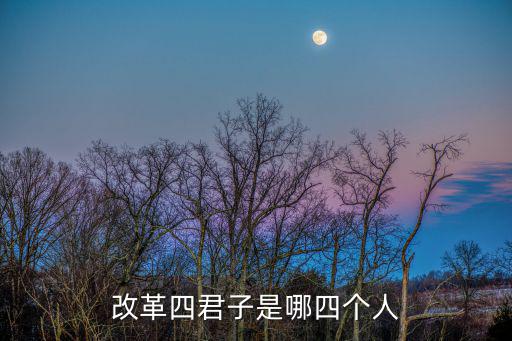 翁永曦,王岐山、朱家明、黃江南入選中國社會學會