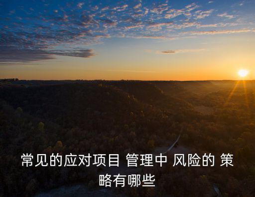 常見的應對項目 管理中 風險的 策略有哪些