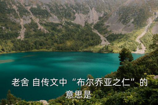 老舍自傳,第二集:老舍先生幽默自傳:發(fā)財很難