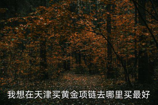 我想在天津買黃金項(xiàng)鏈去哪里買最好