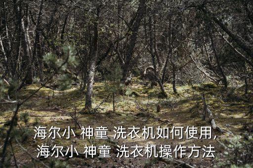  海爾小 神童 洗衣機如何使用, 海爾小 神童 洗衣機操作方法