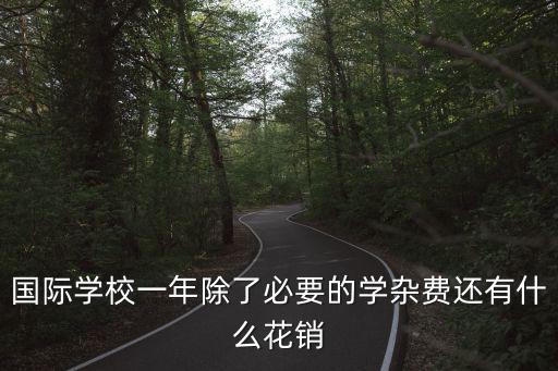 國(guó)際學(xué)校一年除了必要的學(xué)雜費(fèi)還有什么花銷
