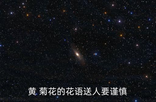 黃 菊花的花語送人要謹慎