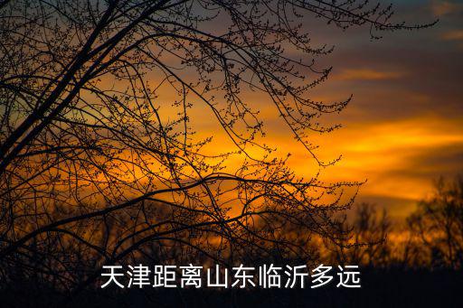天津距離山東臨沂多遠