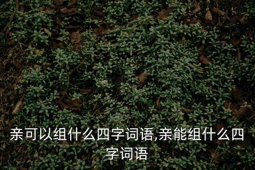 親可以組什么四字詞語,親能組什么四字詞語