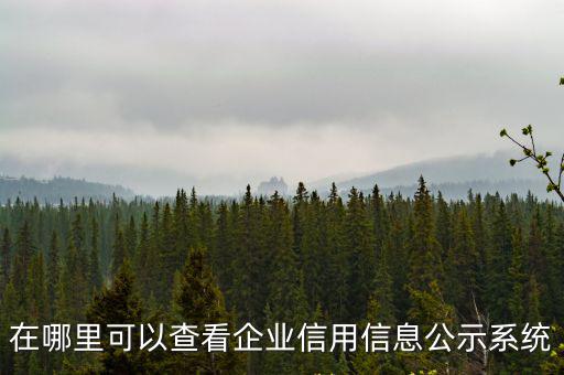 在哪里可以查看企業信用信息公示系統