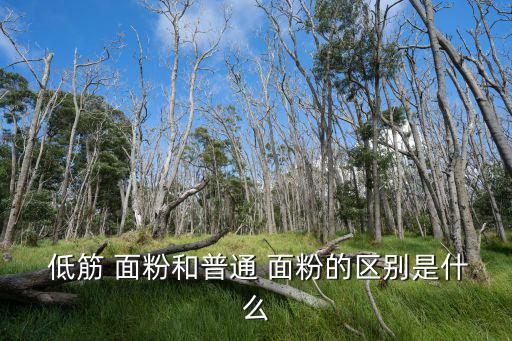 低筋面粉和普通面粉的區別,如何選擇生鮮面粉?