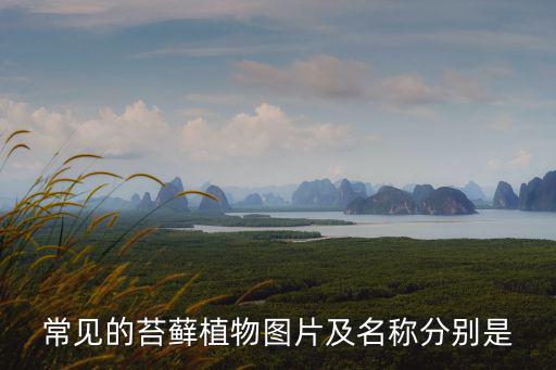 常見的苔蘚植物圖片及名稱分別是