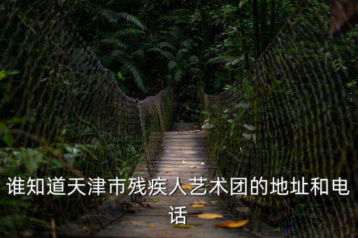 誰知道天津市殘疾人藝術(shù)團(tuán)的地址和電話