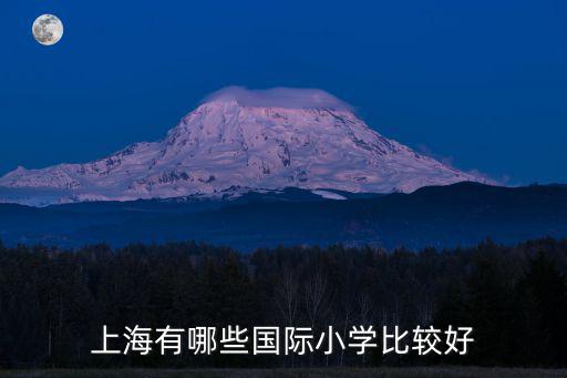 上海有哪些國際小學比較好