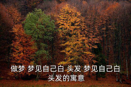 做夢 夢見自己白 頭發 夢見自己白 頭發的寓意