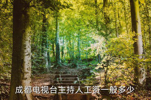 成都電視臺主持人工資一般多少
