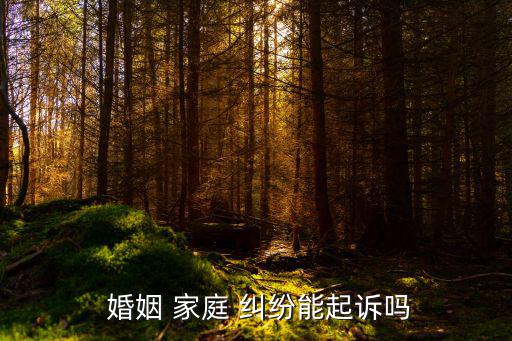  婚姻 家庭 糾紛能起訴嗎