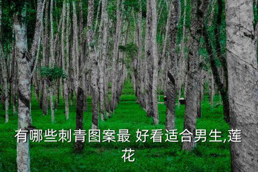 好看的紋身,印度街頭隨處可見的花草樹木