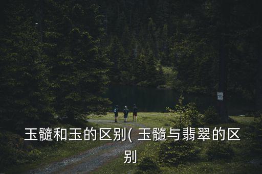  玉髓和玉的區(qū)別( 玉髓與翡翠的區(qū)別